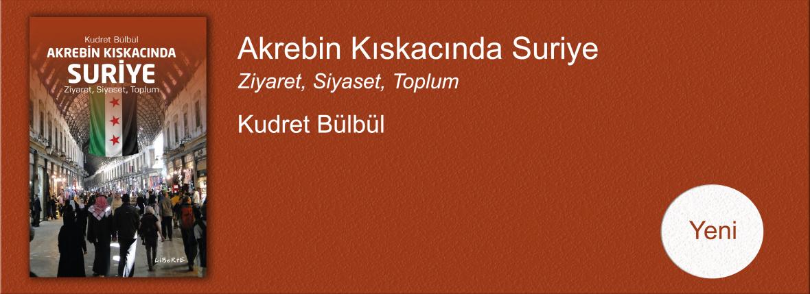 Akrebin Kıskacında Suriye Ziyaret, Siyaset, Toplum